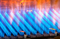 Llanarth gas fired boilers